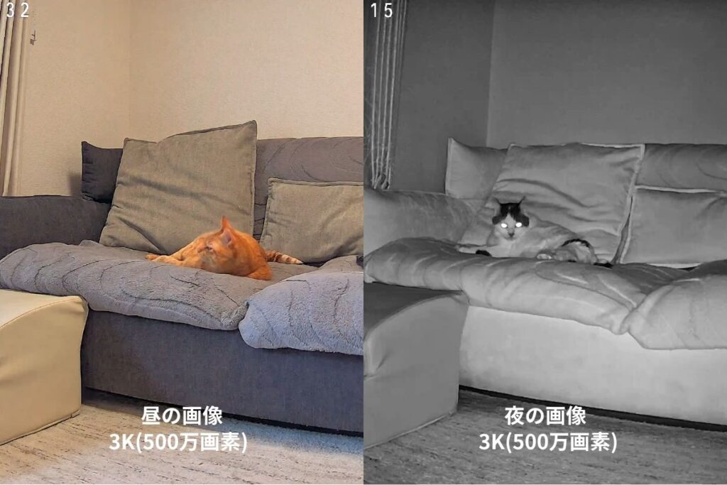TP-Link Tapo C232|昼・夜の画像比較