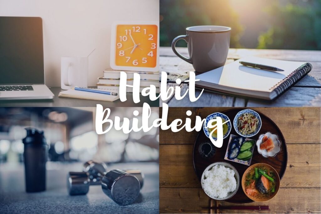 Habit Building